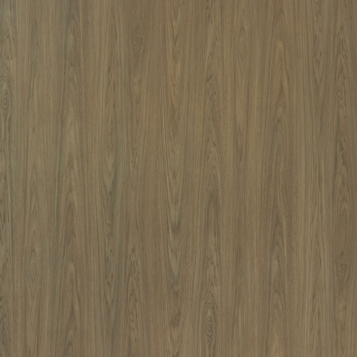Earth Walnut