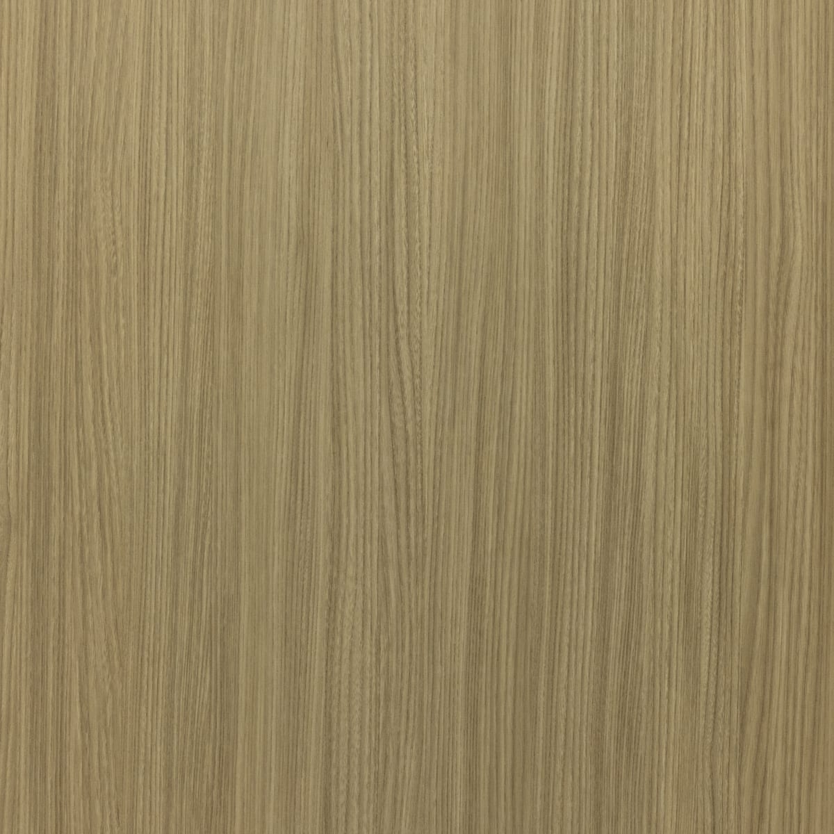 MDF OLMO FORESTA
