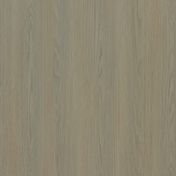 Sand Oak