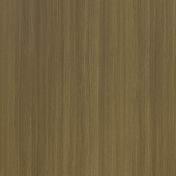 Steppe Oak