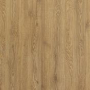 SYNCRO ELM