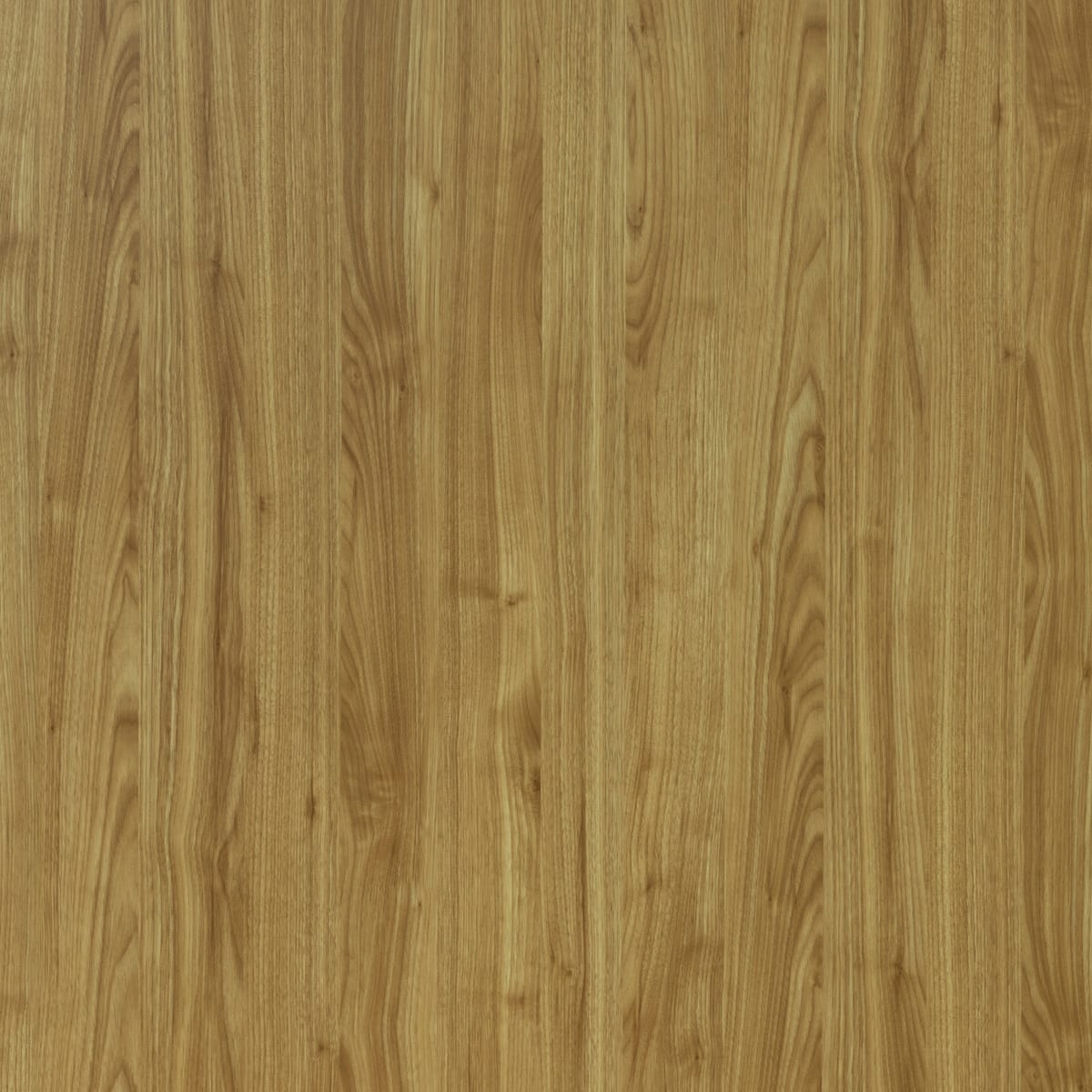 Wheatfield Hickory